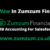 Zumzum Financials Release 1.461